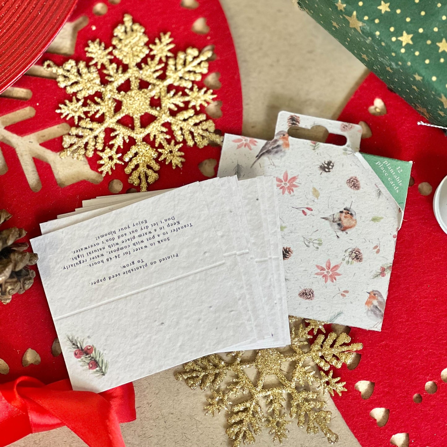 Place Cards - Robins