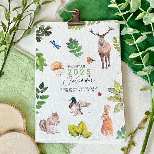 Sustainable Calendar - Woodland Wonders