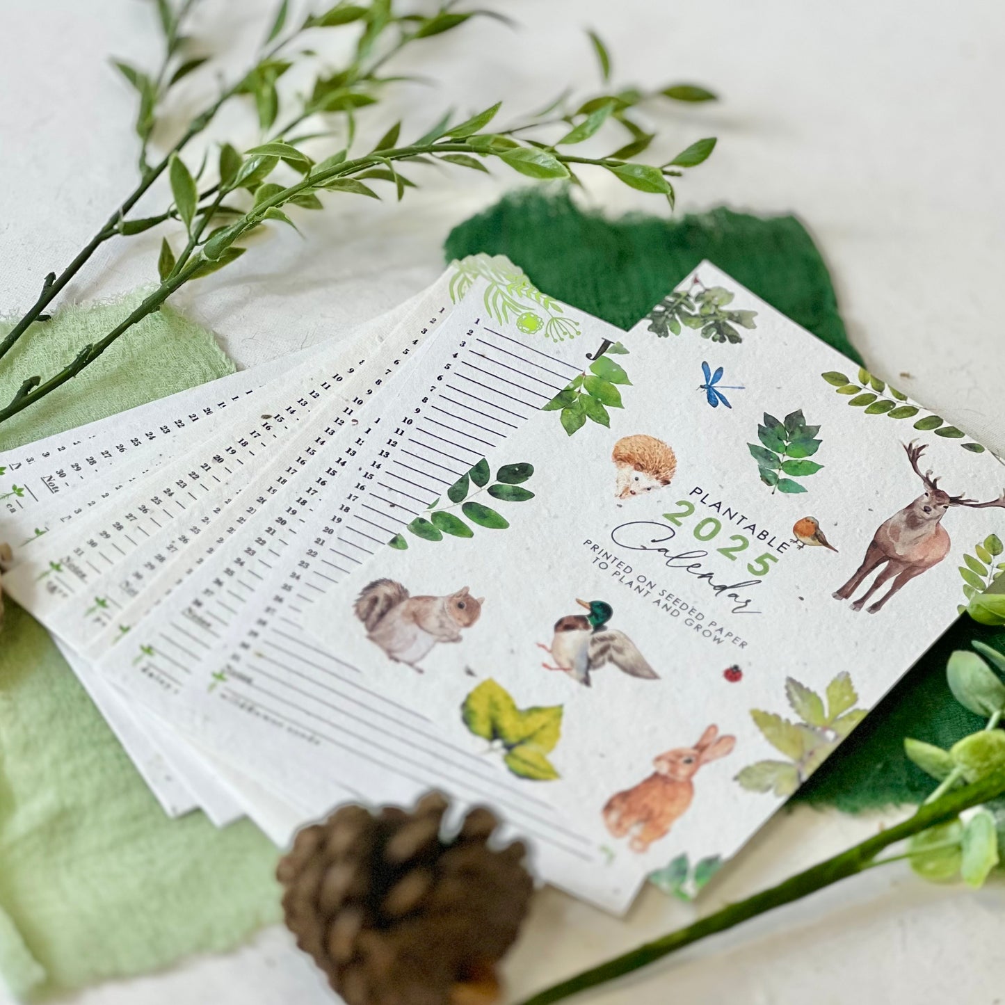 Sustainable Calendar - Woodland Wonders