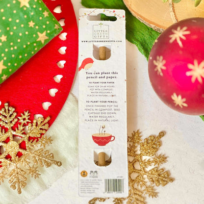 Eco-Friendly Plant-a-Pencil - Eat, Drink and Be Merry