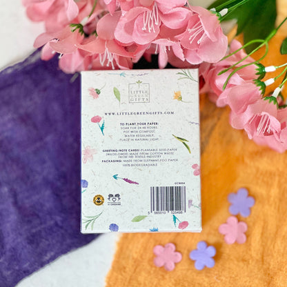 Mini Cards & Notes Set - Summer Meadow