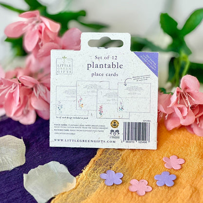 Place Cards - Summer Meadow