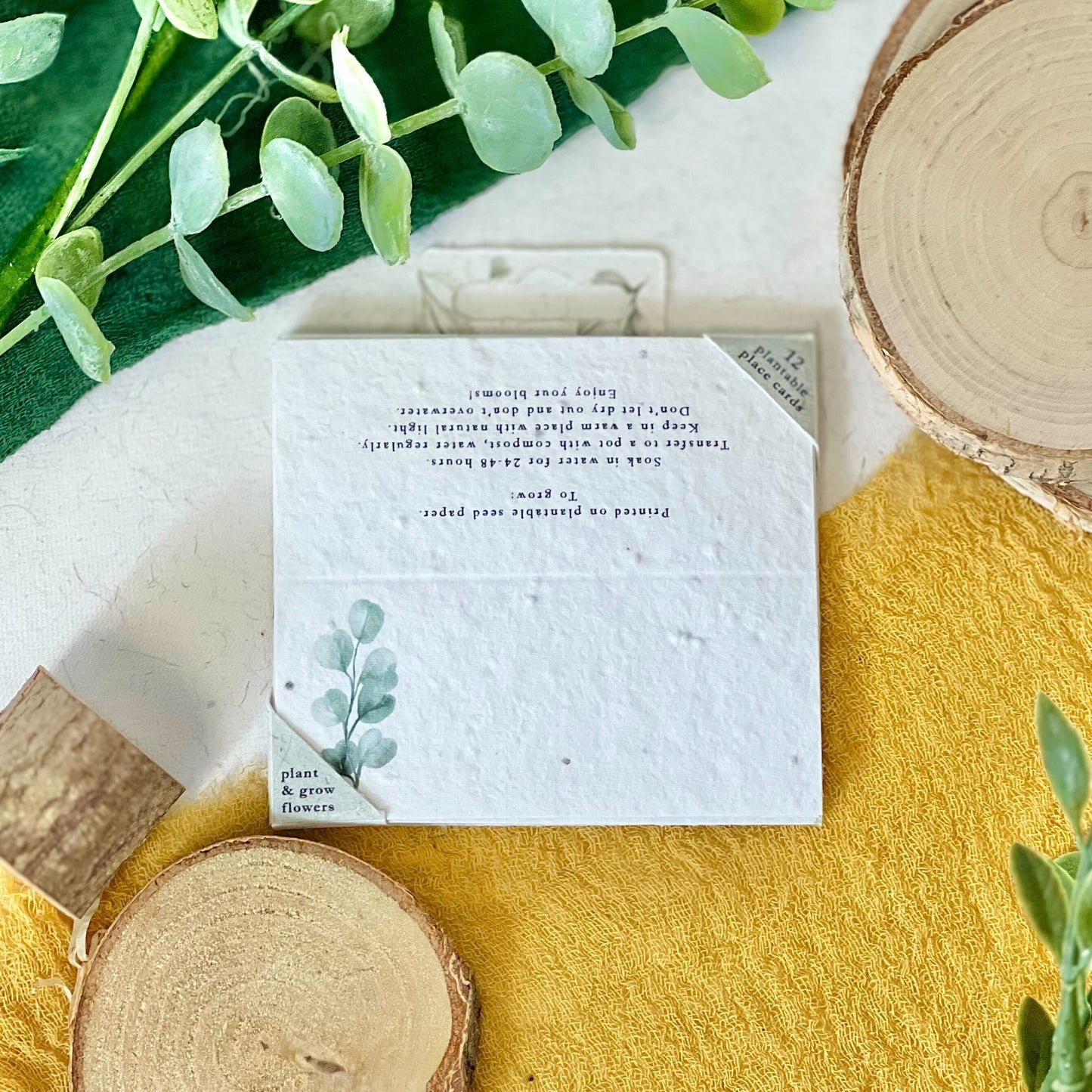 Place Cards - Eucalyptus Embrace