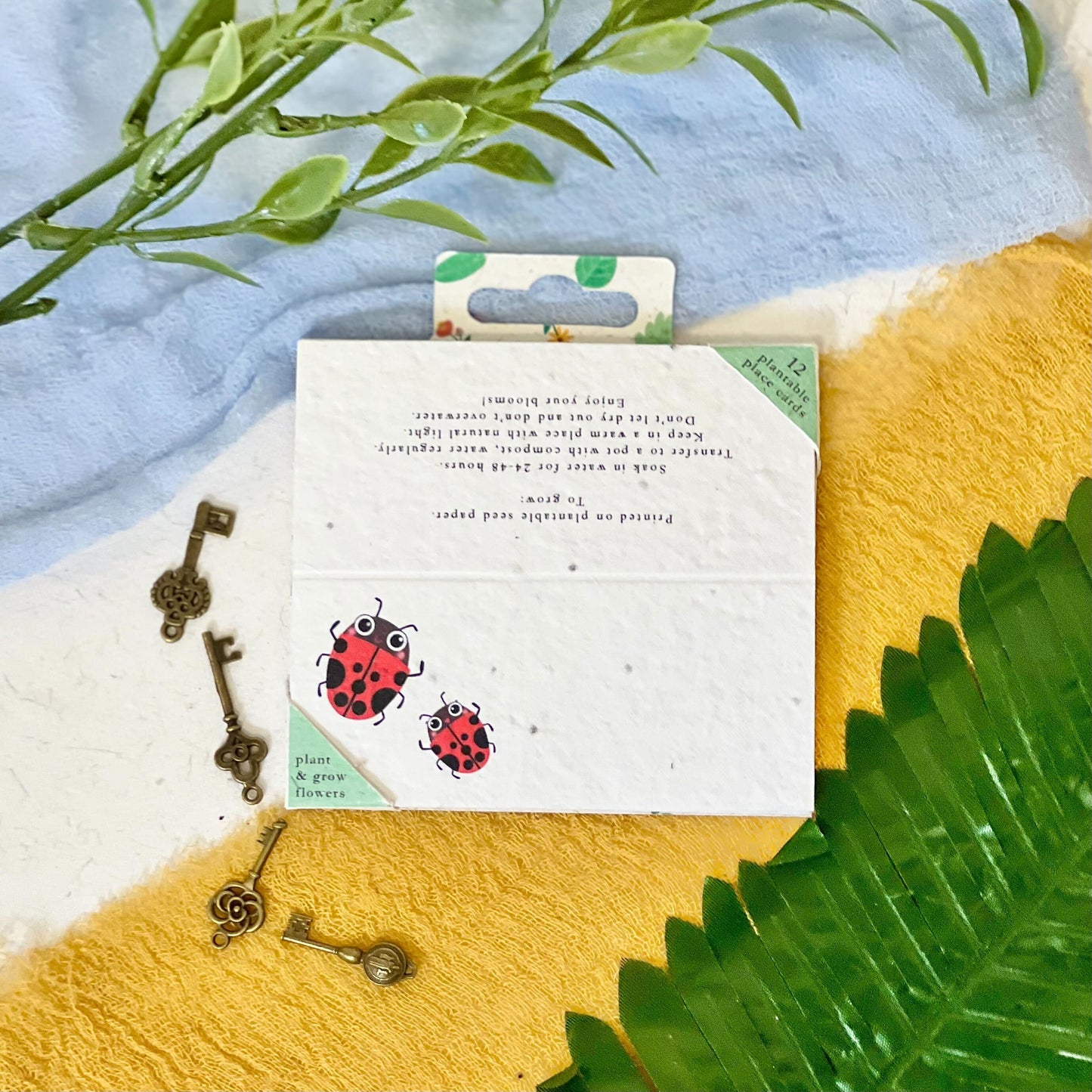 Place Cards - Bug Bonanza