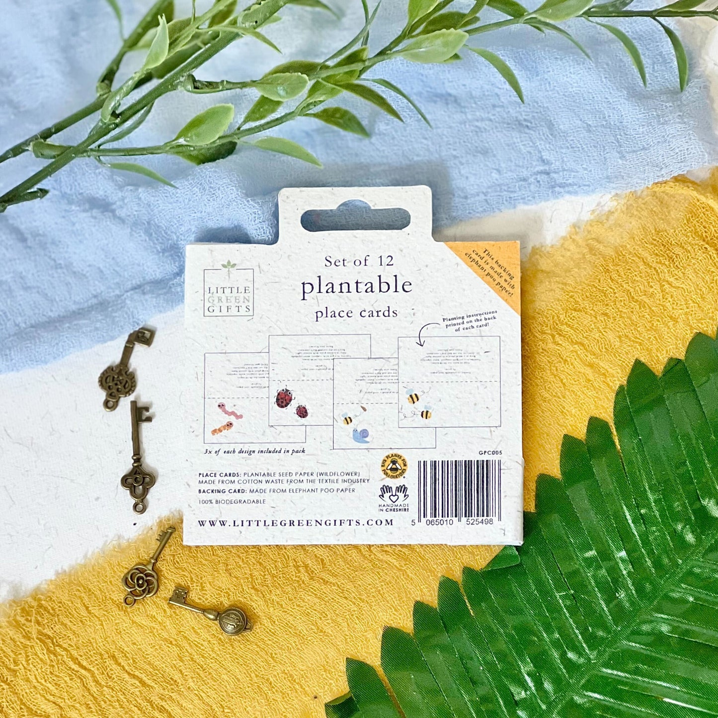 Place Cards - Bug Bonanza