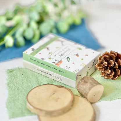 Mini Cards & Notes Set - Woodland Wonders