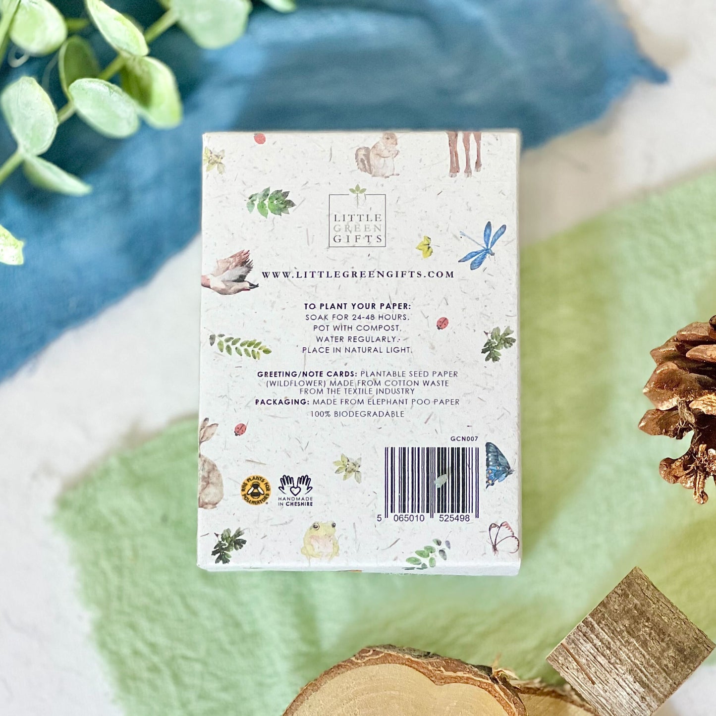 Mini Cards & Notes Set - Woodland Wonders