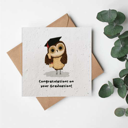 Cuddle Crew - Congratulations on your graduation hedgehod