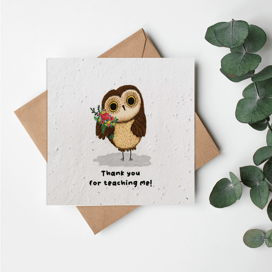 Cuddle Crew - Thank you teacher Owl