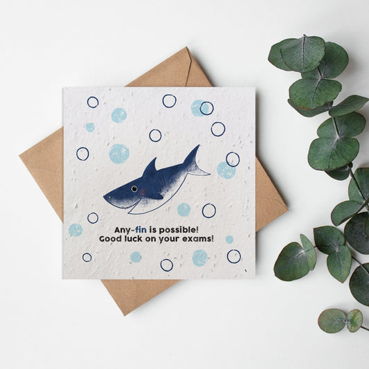 Fish - Any-fin is possible exams