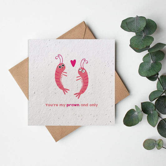 Fish - Prawn and only