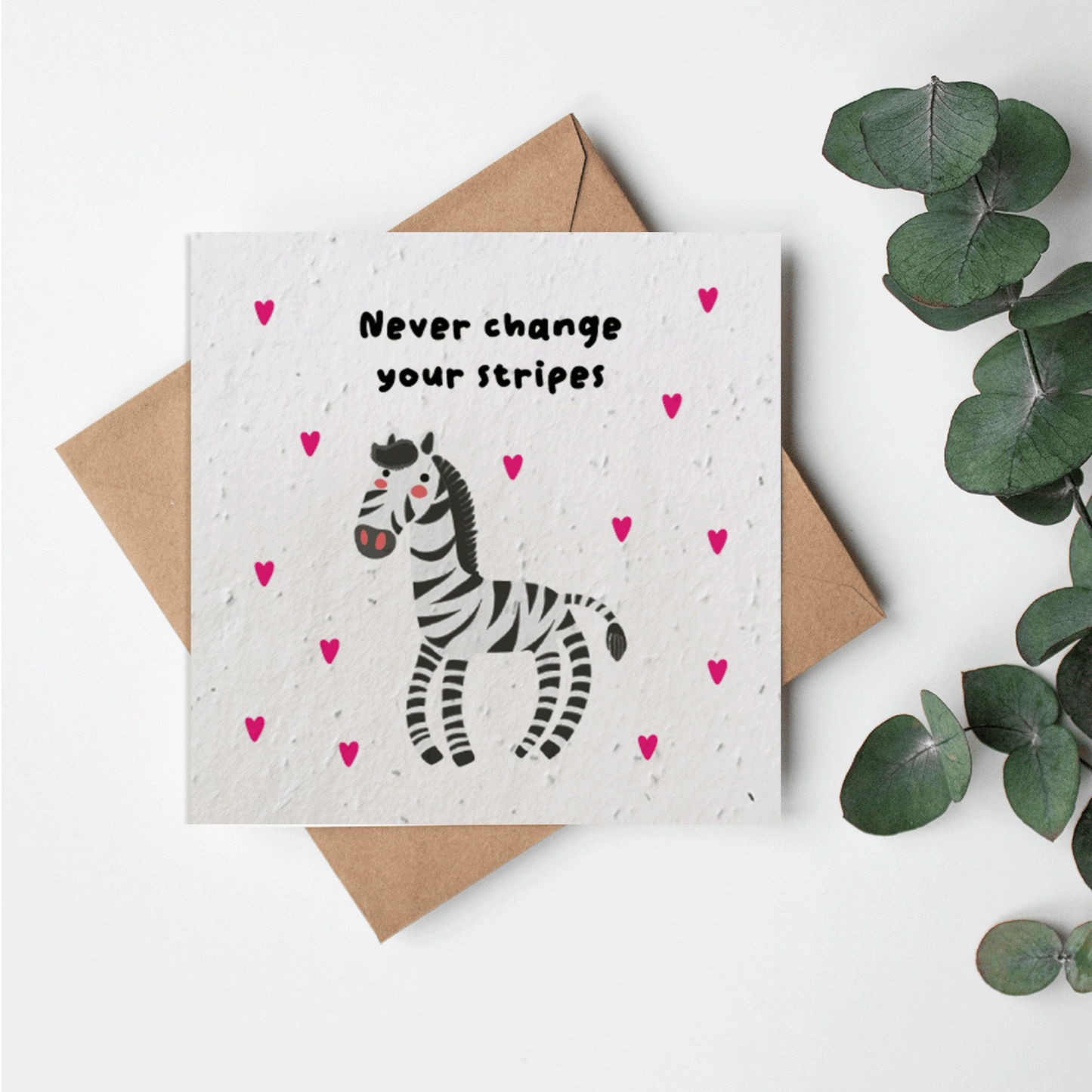 Zoo - Zebra