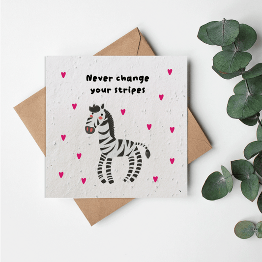 Zoo - Zebra
