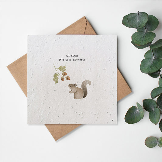 Woodland Creatures - Go Nuts! Birthday