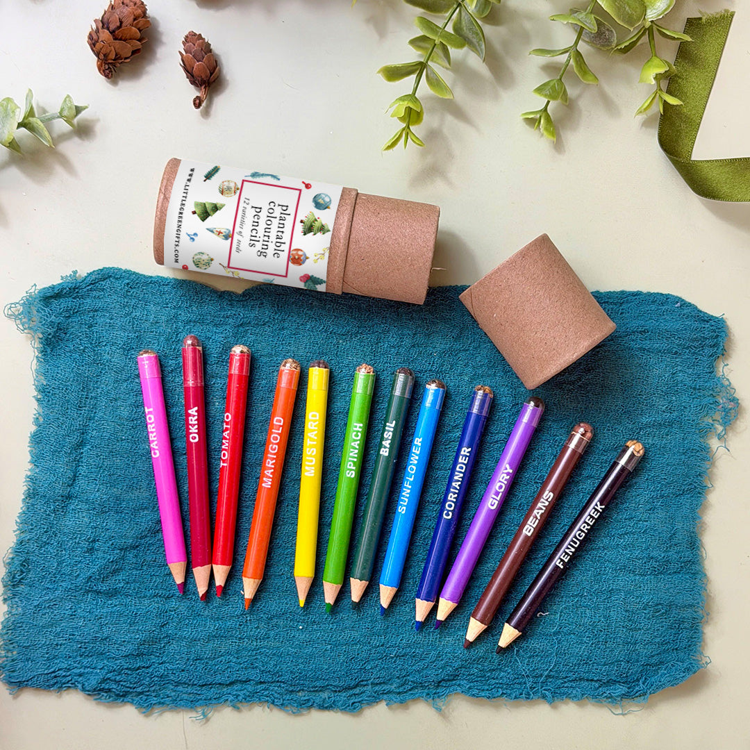 Plantable Colouring Pencils (set of 12) - Merry Little Things