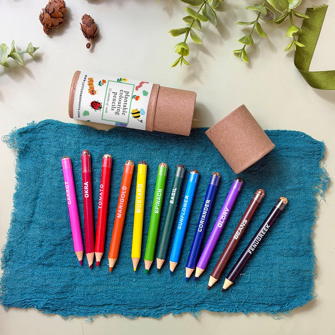Plantable Colouring Pencils (set of 12) - Bug Bonanza