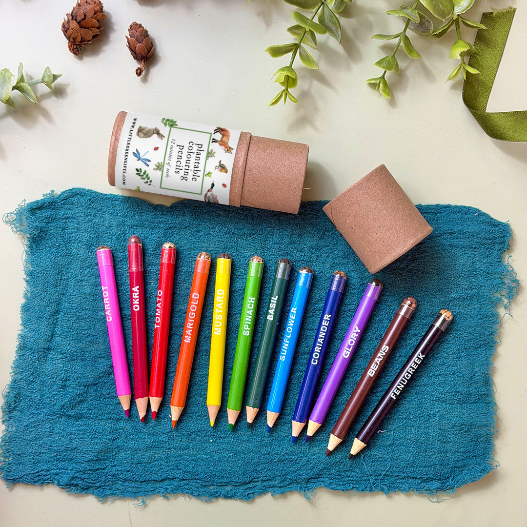Plantable Colouring Pencils (set of 12) - Woodland Wonders