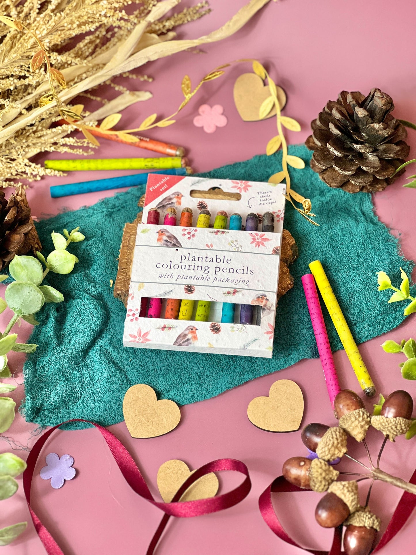 Colouring Pencils - Christmas Robins