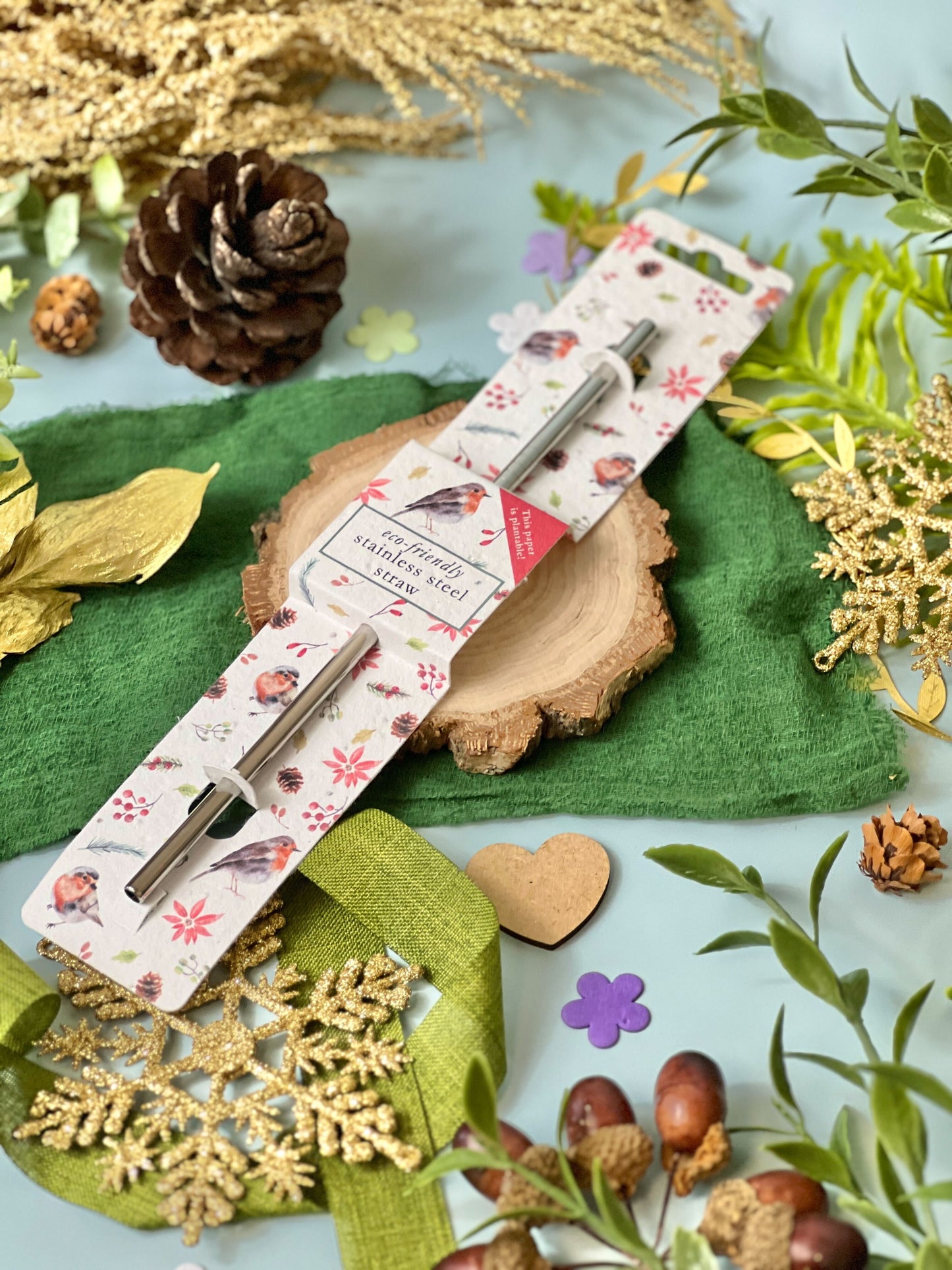 Stainless Steel Straw - Christmas Robins