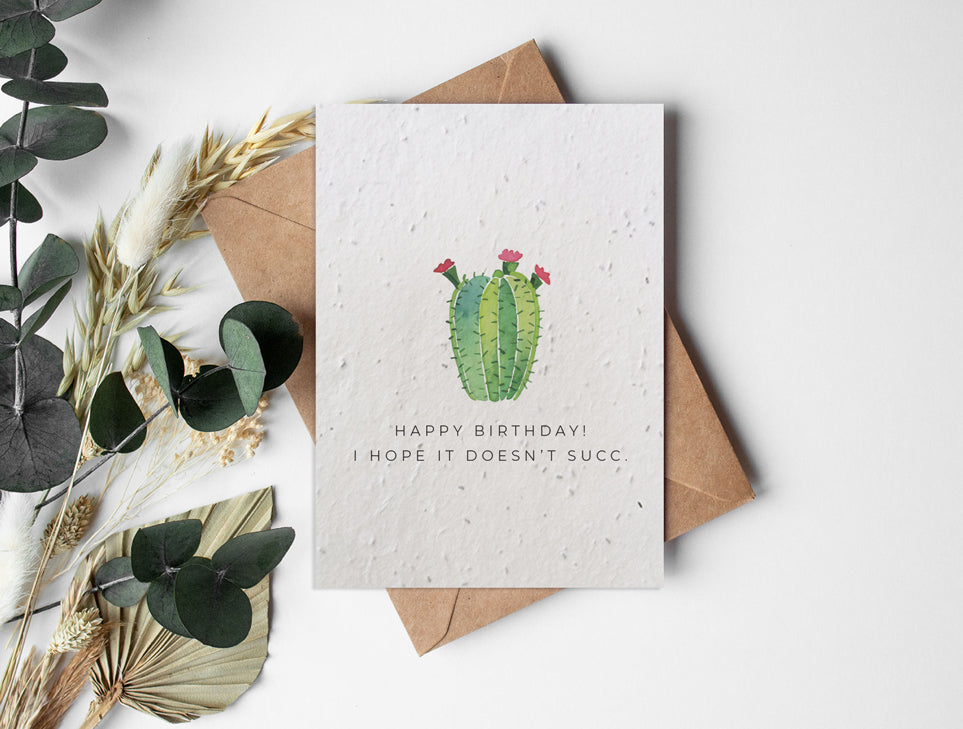 Classics - Cactus Succ