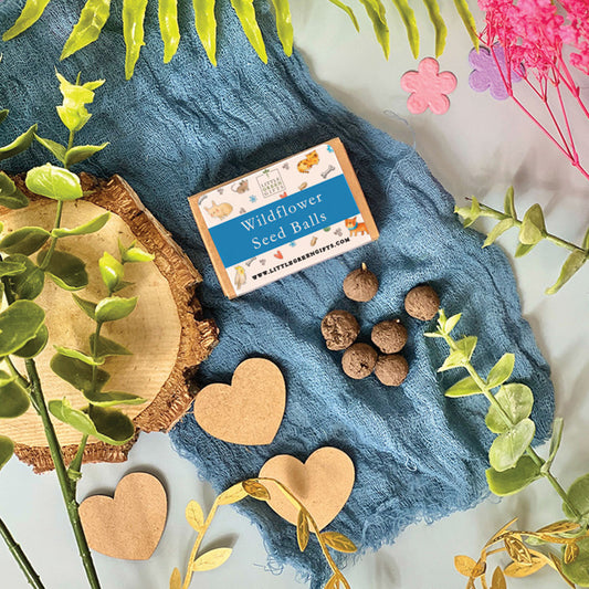 Wildflower Seed Balls - Pet Pals