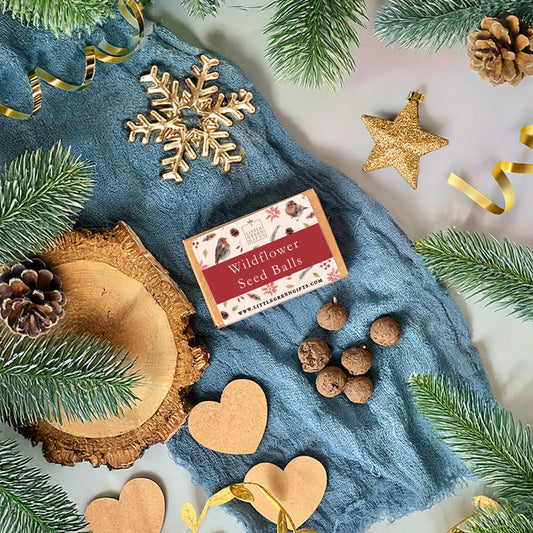 Wildflower Seed Balls - Christmas Robins