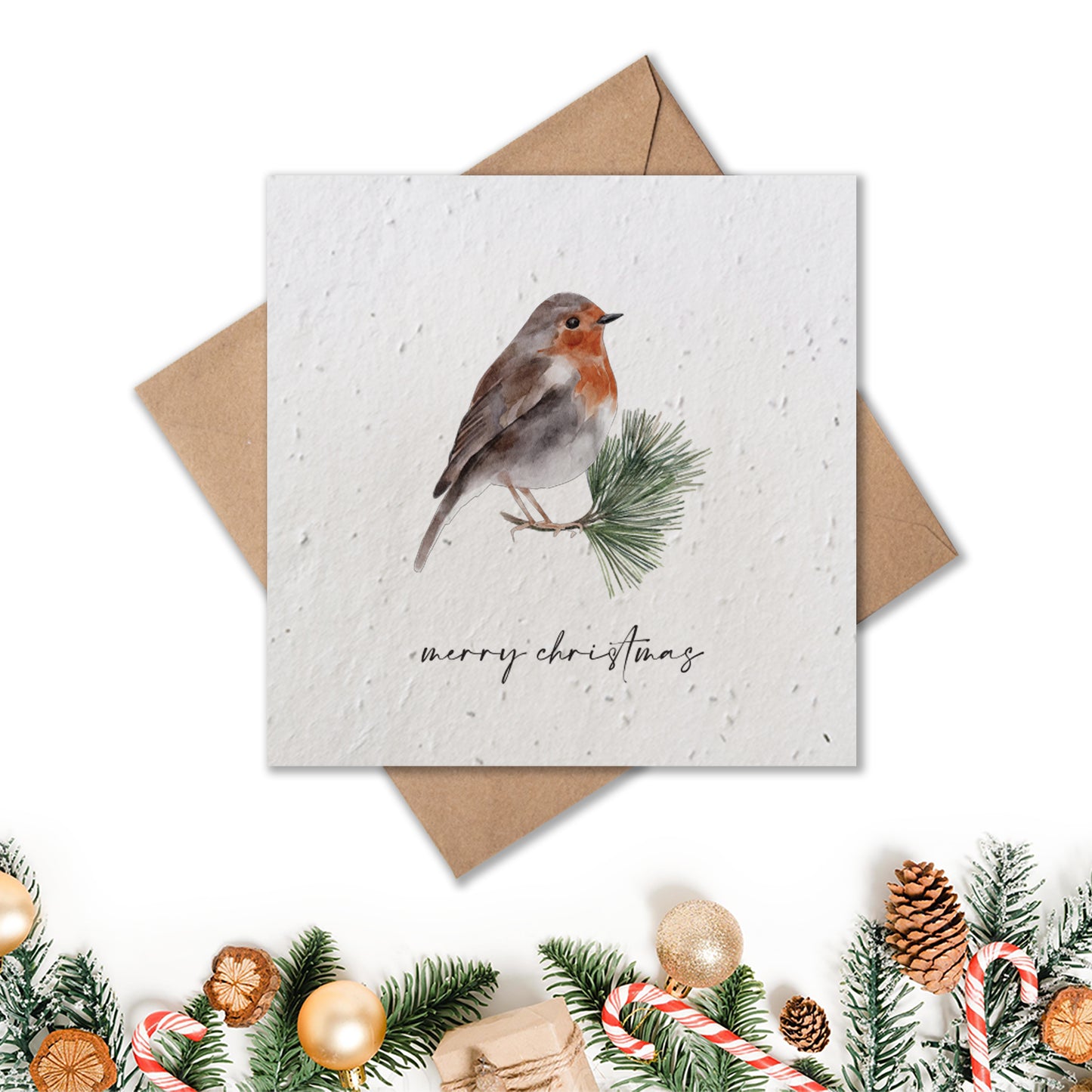 Christmas Card - Robin