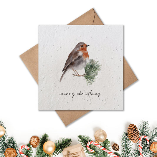 Christmas Card - Robin